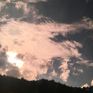 五十路翔田千里经典歌曲
